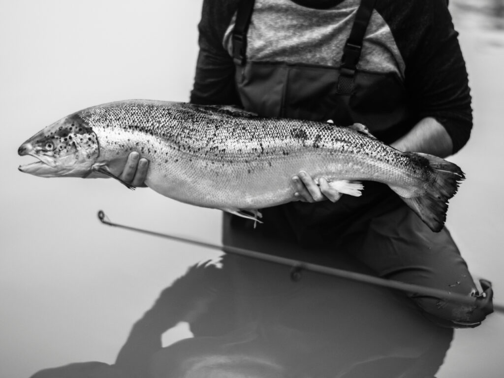 Occupational Certificate: Aquaculture Farmer